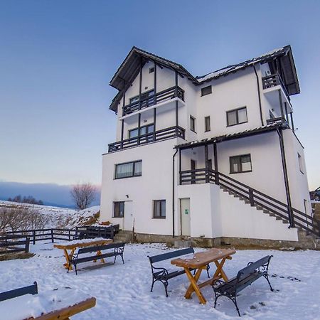 Vila Luca-Hotel Şirnea المظهر الخارجي الصورة